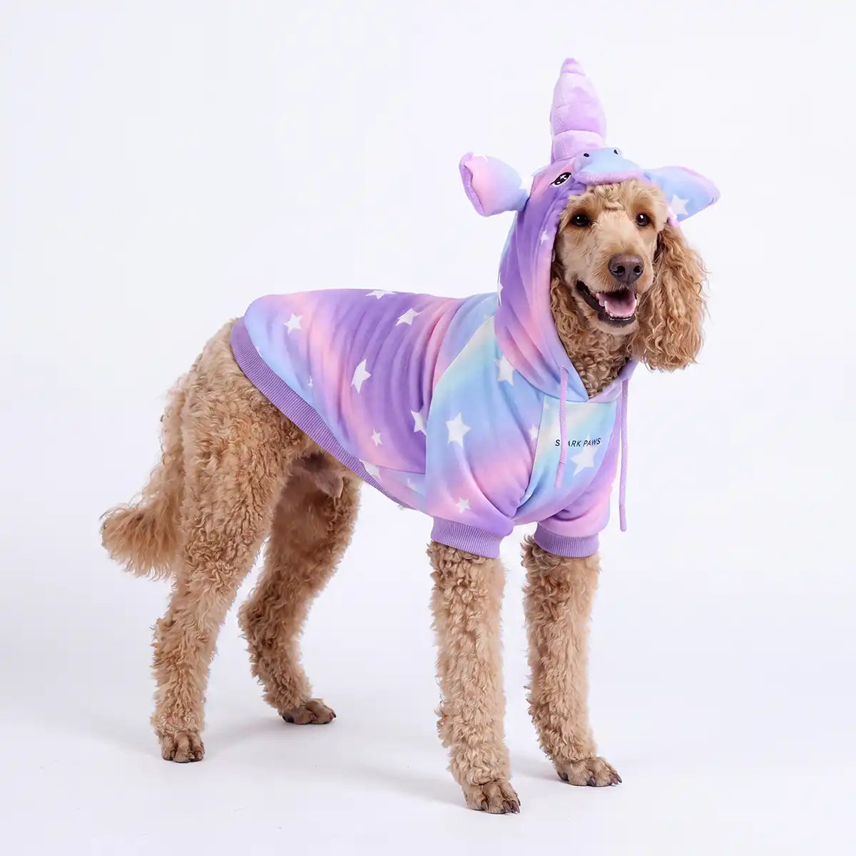 sparkpawsmaut.com