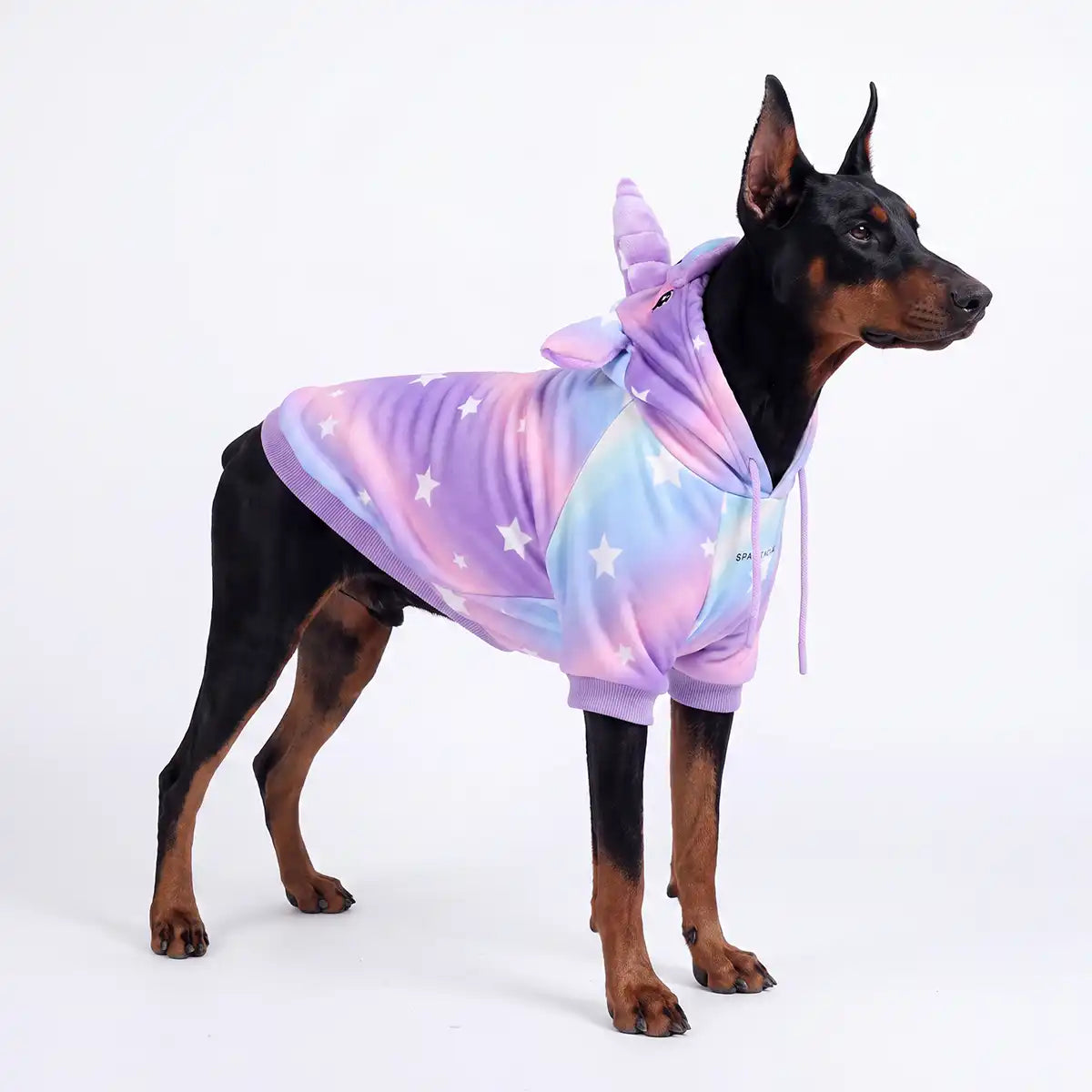 sparkpawsmaut.com