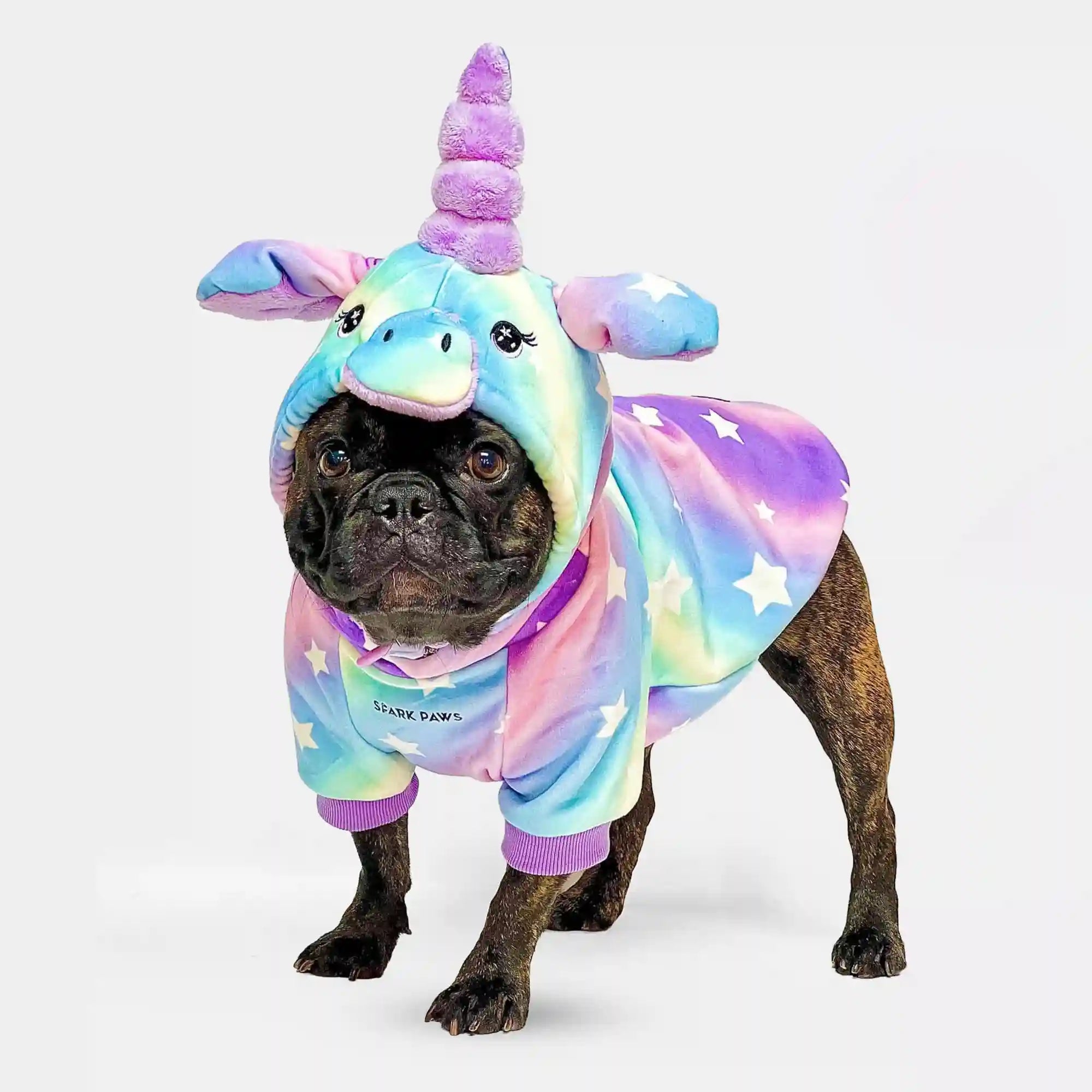 sparkpawsmaut.com