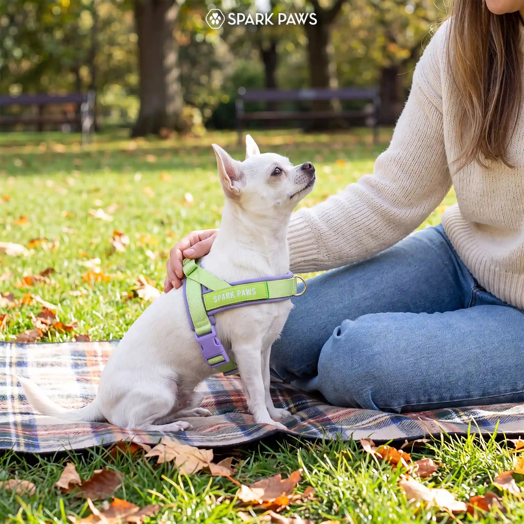 sparkpawsmaut.com