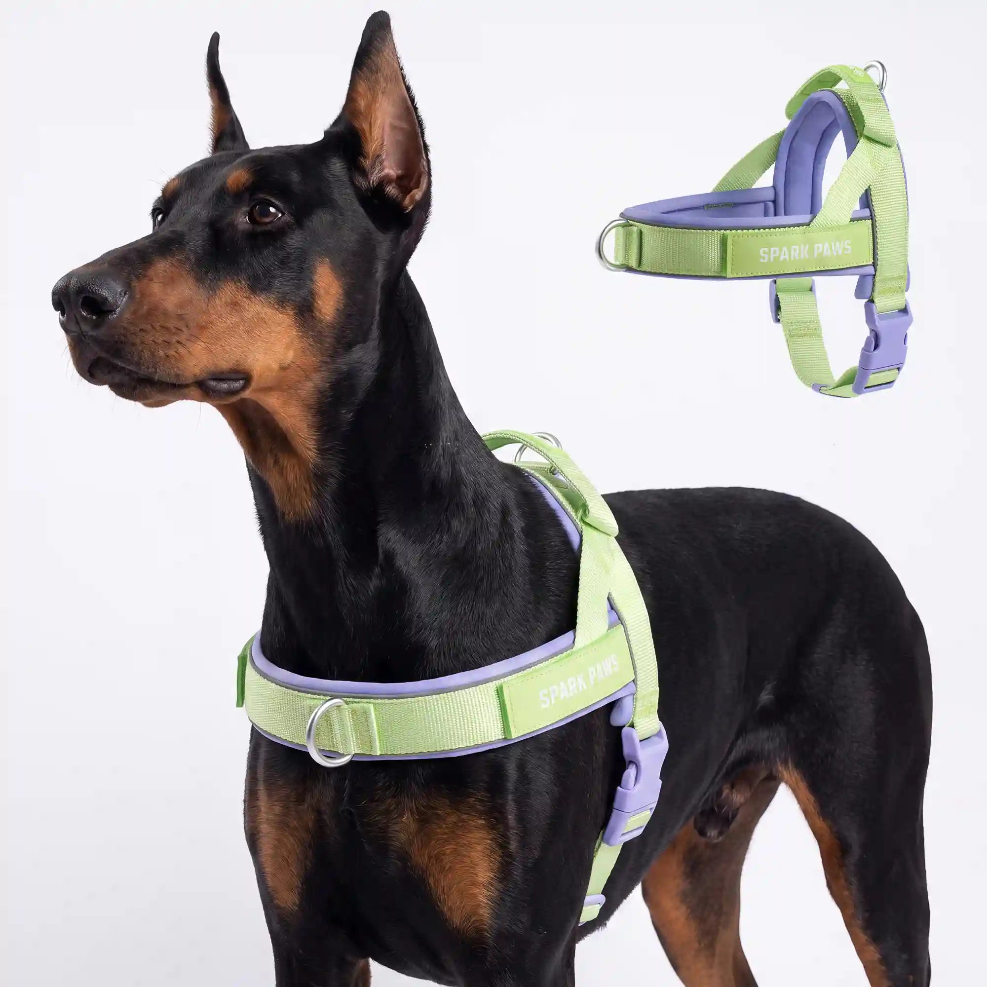 sparkpawsmaut.com