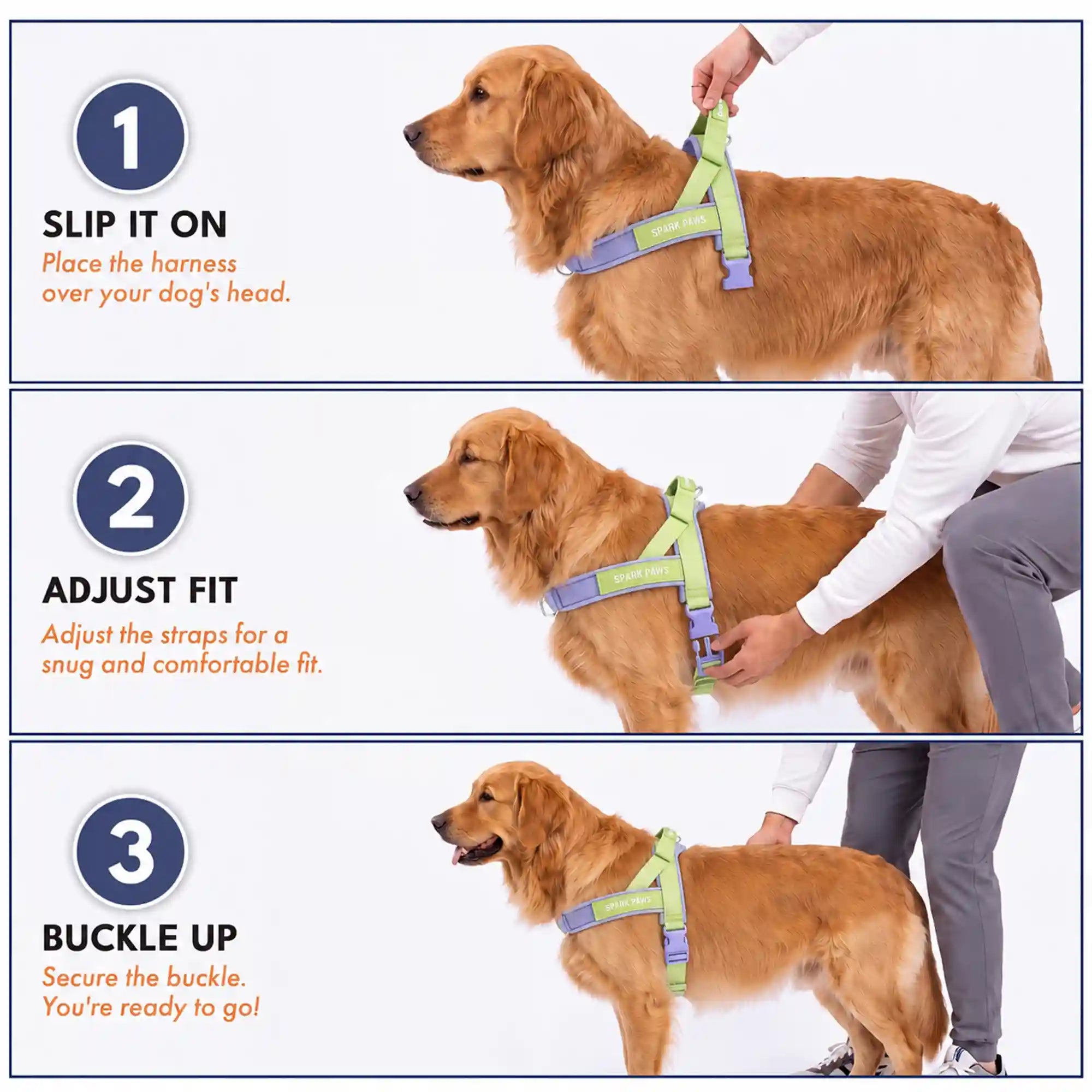 sparkpawsmaut.com