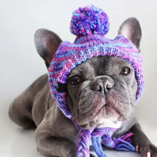 Knit Pom Pom Dog Beanie Hats
