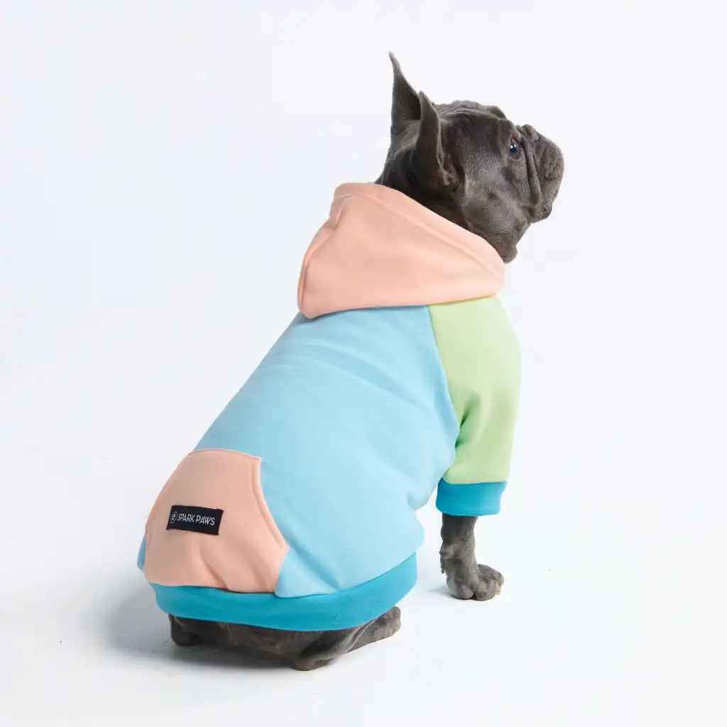 sparkpawsmaut.com