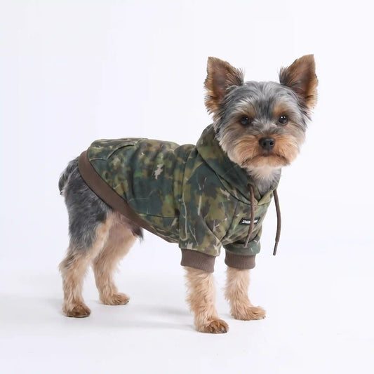 Concrete Wood Dog Hoodie - Moss