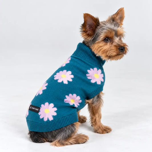 Knit Dog Sweater Prints