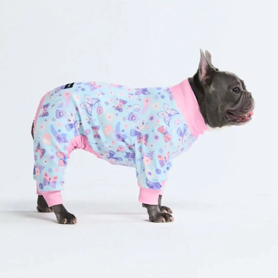 sparkpawsmaut.com