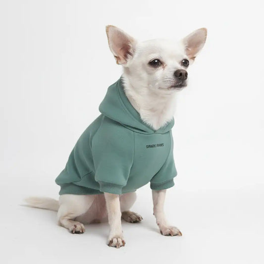 Essential Dog Hoodies