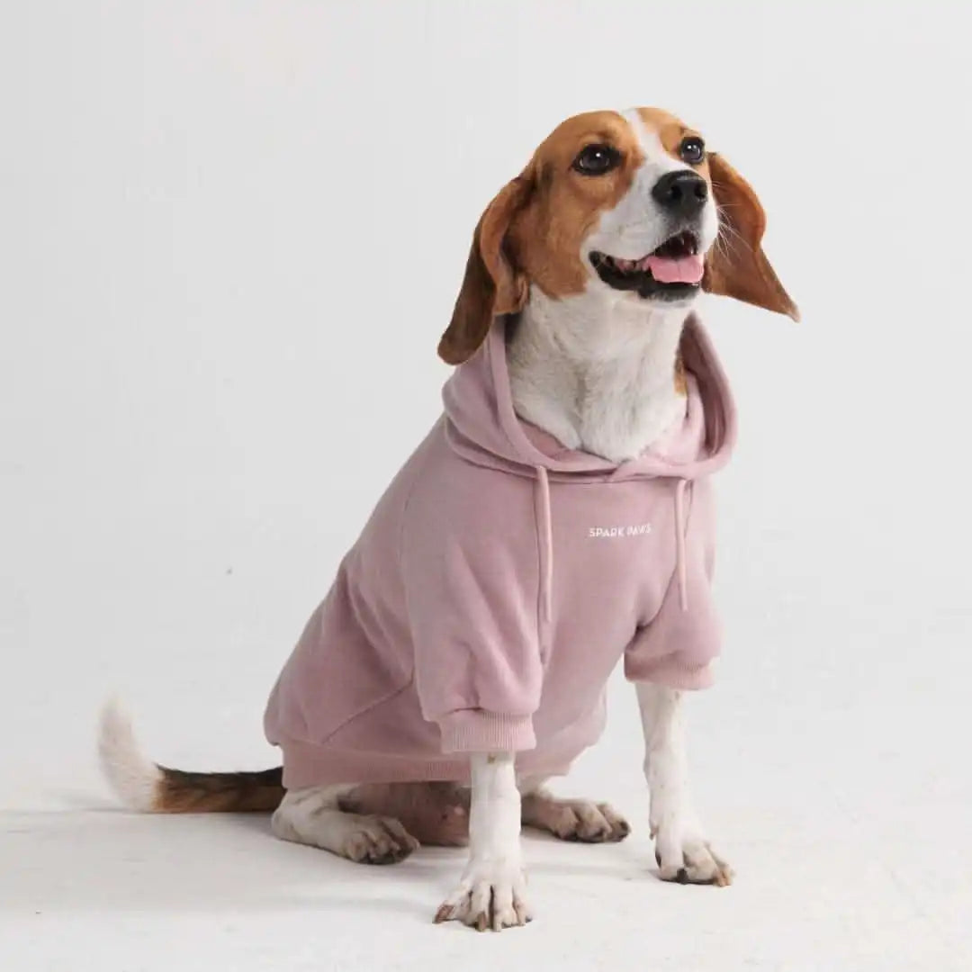 sparkpawsmaut.com