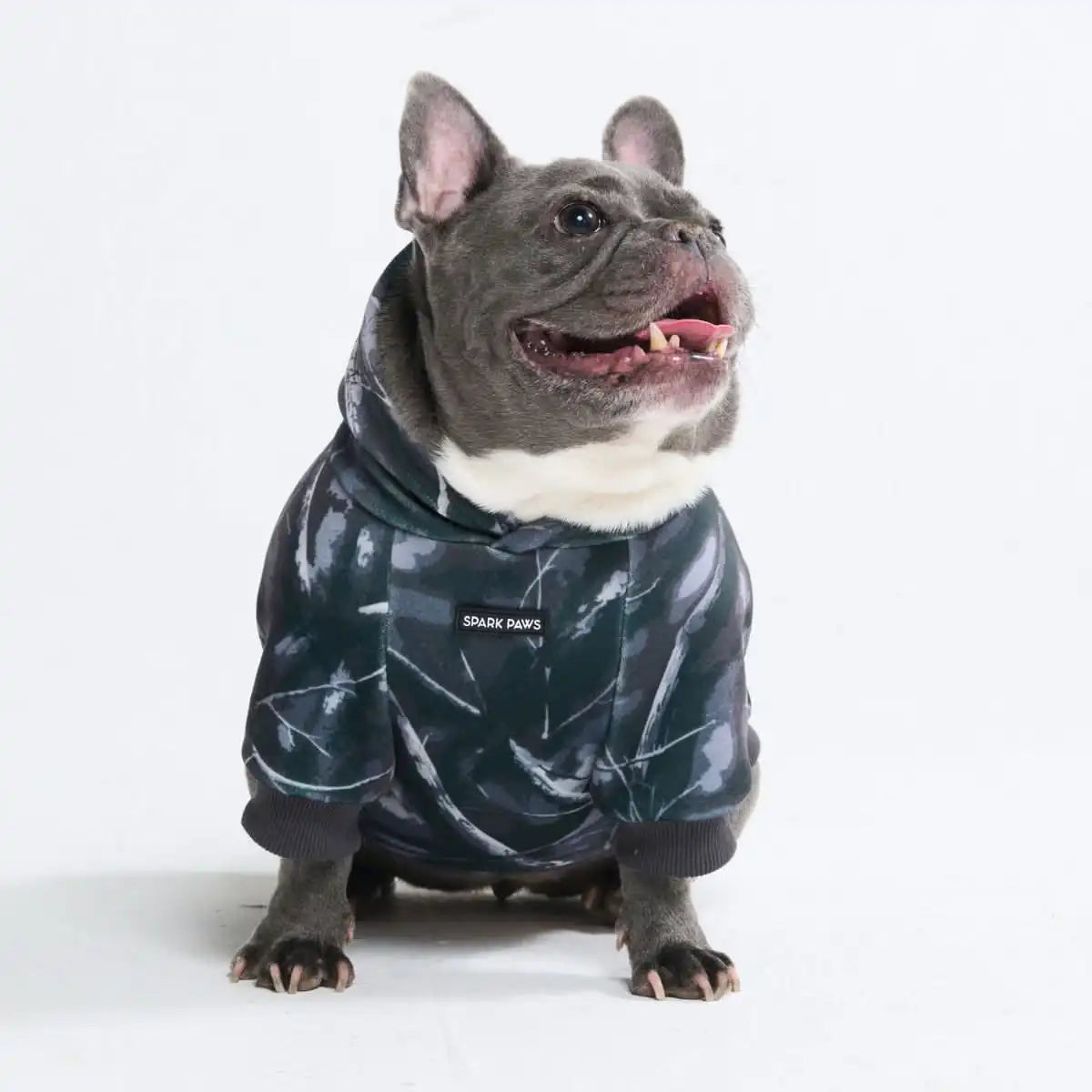 sparkpawsmaut.com