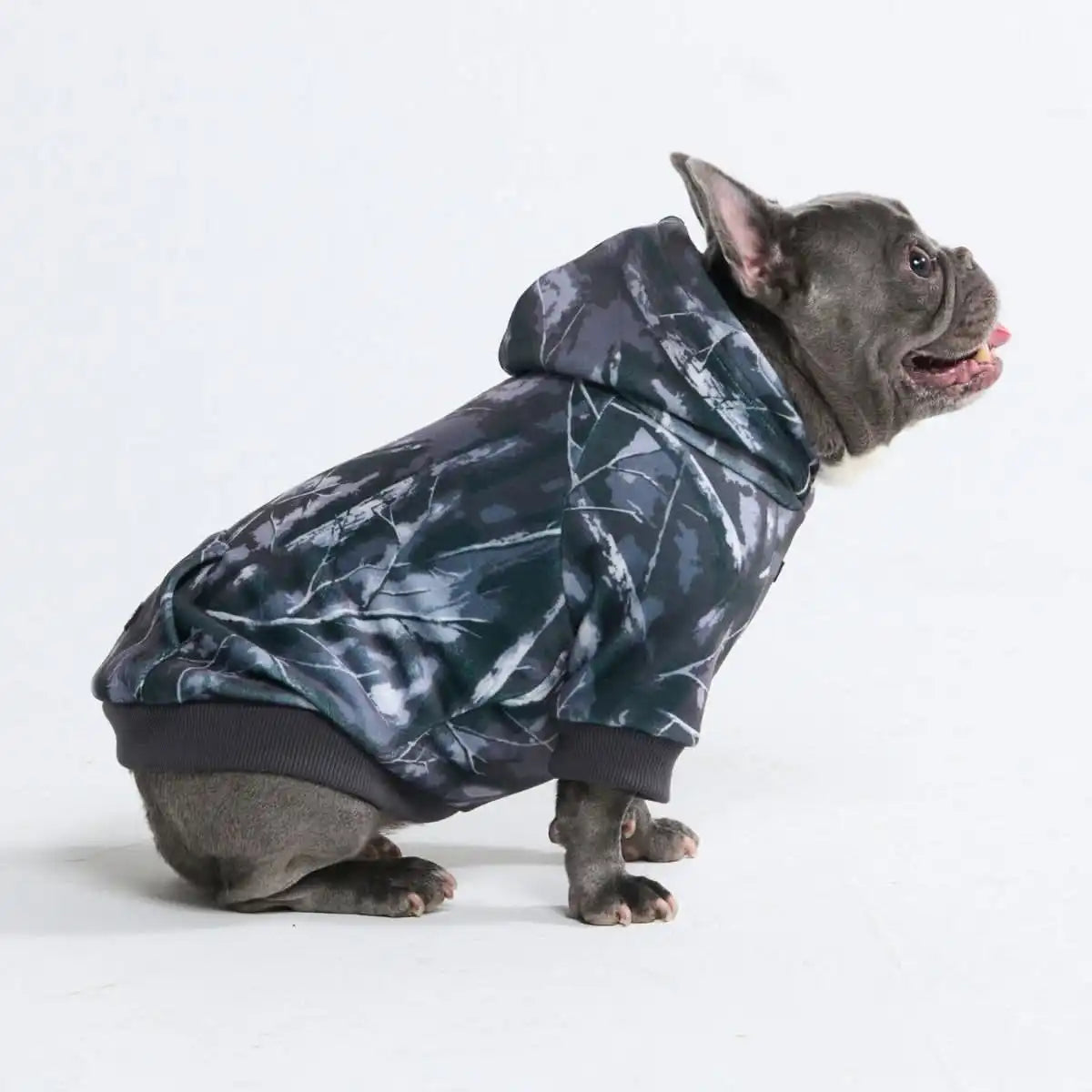 sparkpawsmaut.com