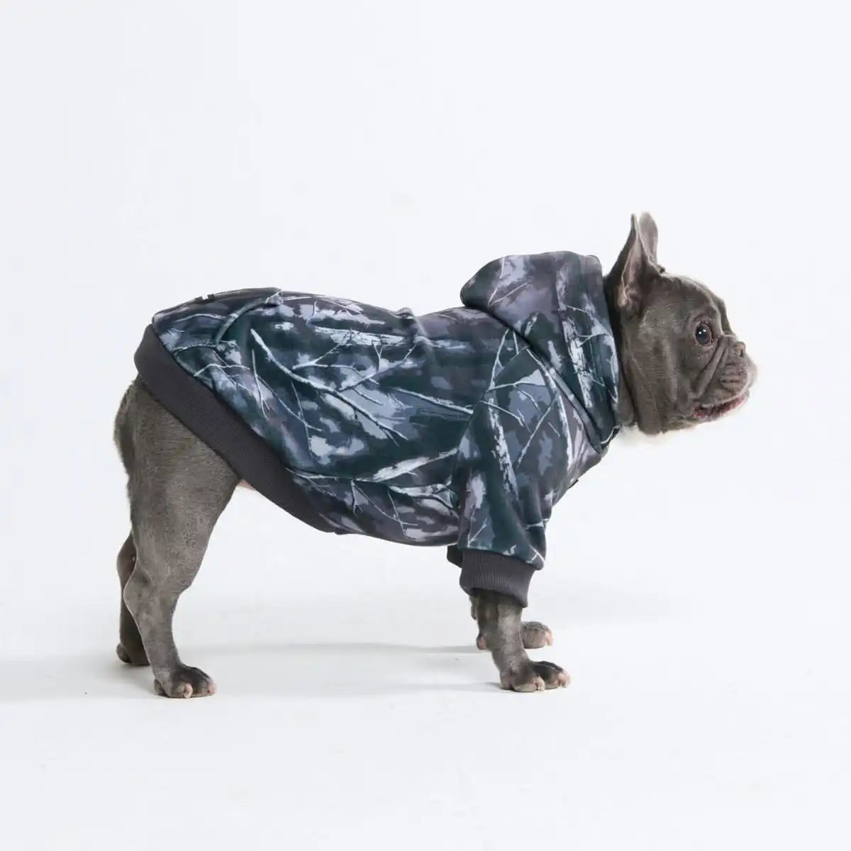 sparkpawsmaut.com