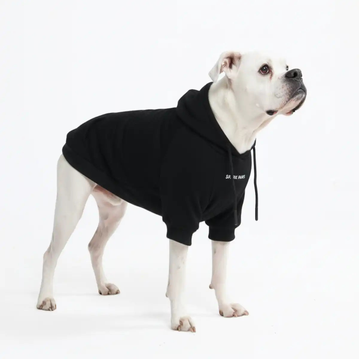 sparkpawsmaut.com