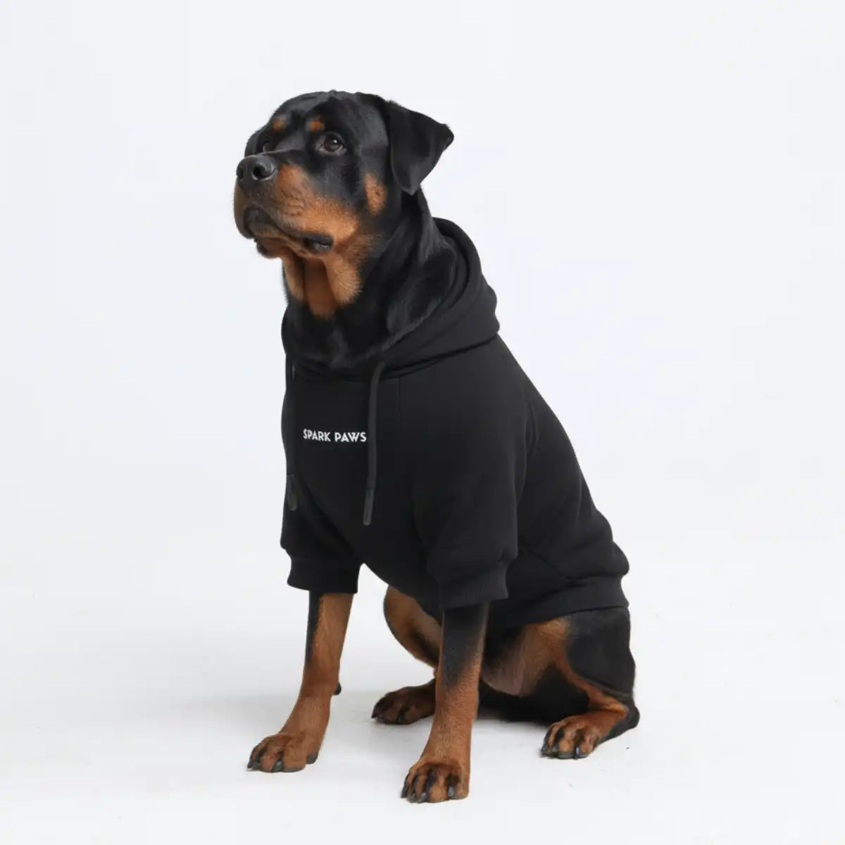 sparkpawsmaut.com
