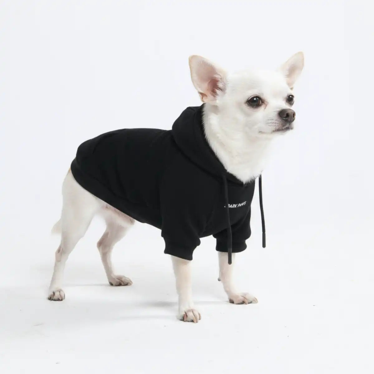 sparkpawsmaut.com