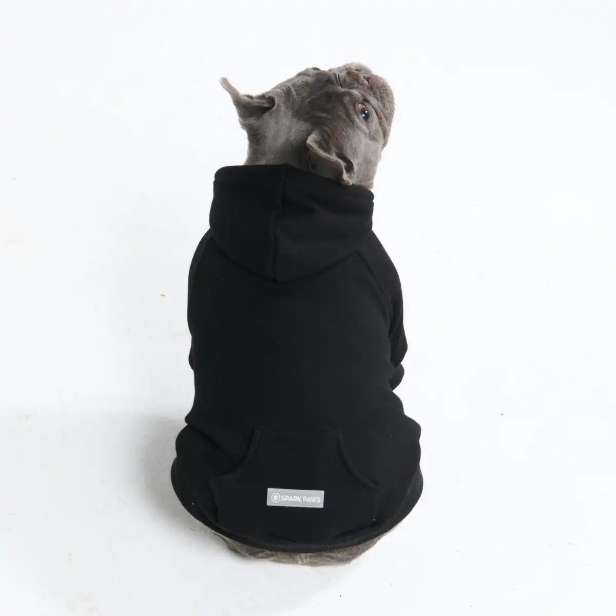sparkpawsmaut.com