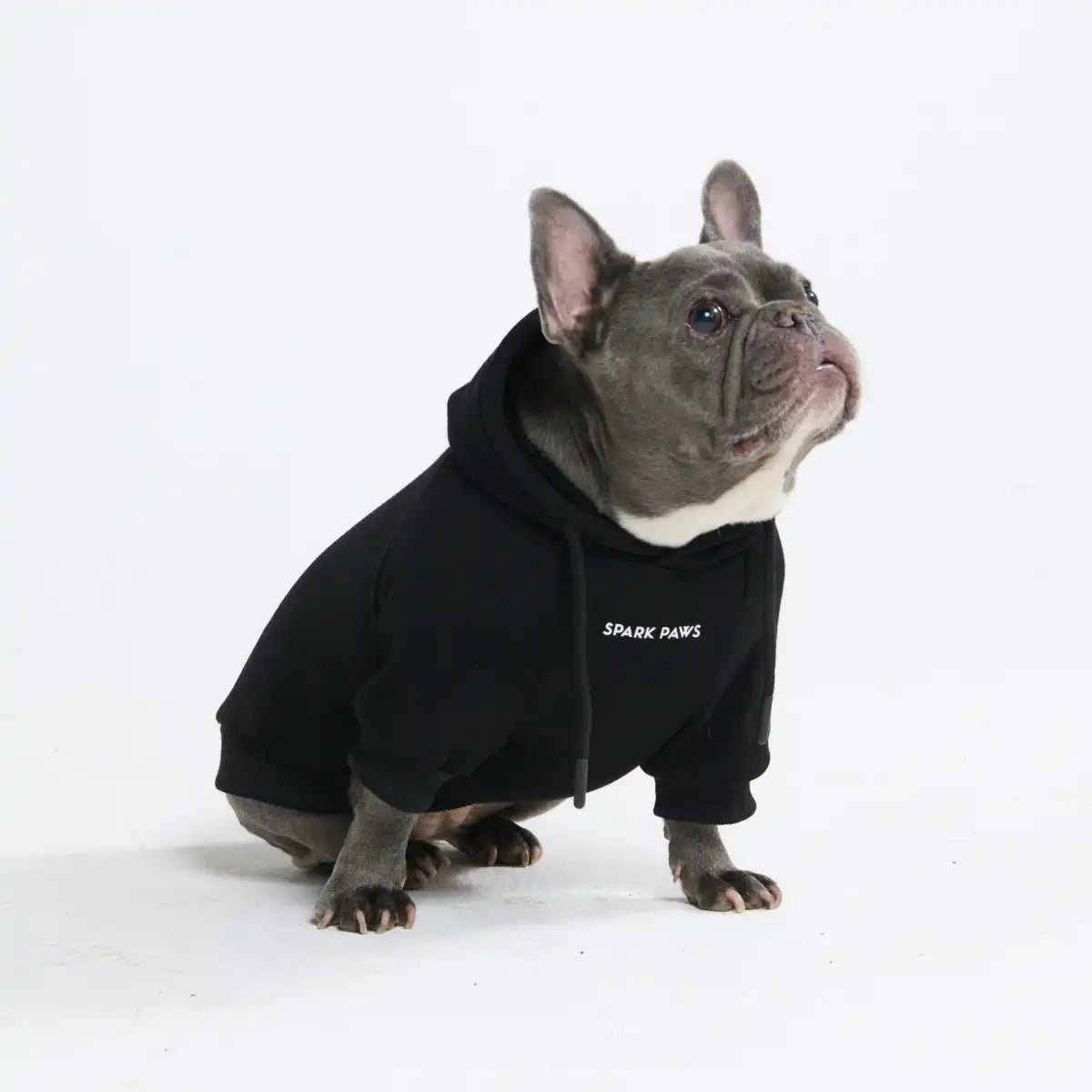 sparkpawsmaut.com