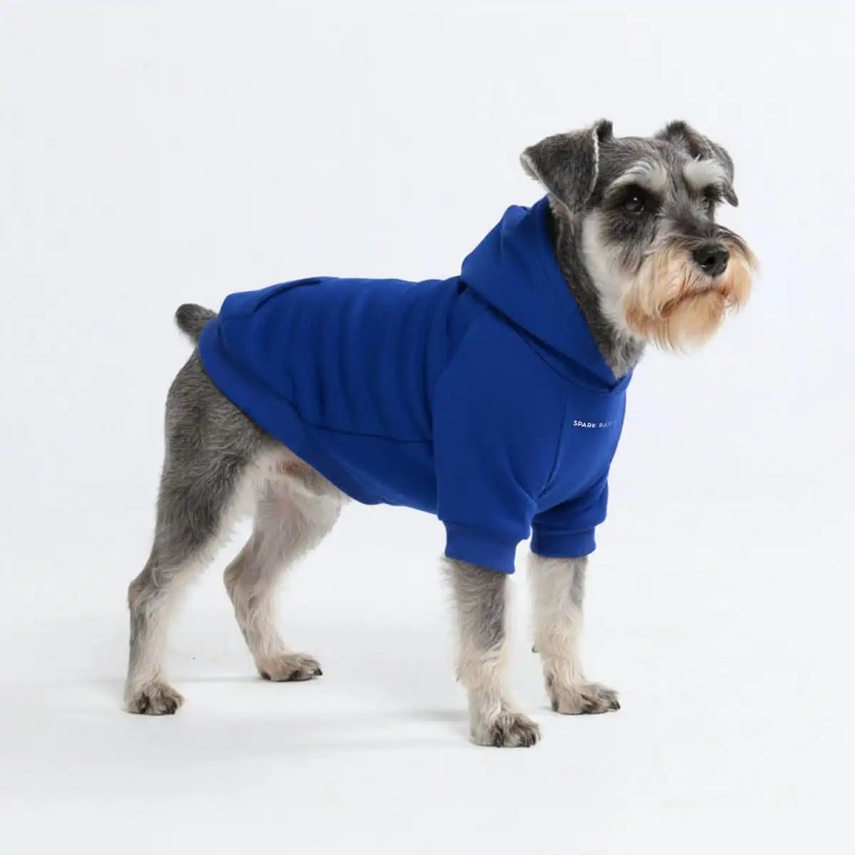 sparkpawsmaut.com