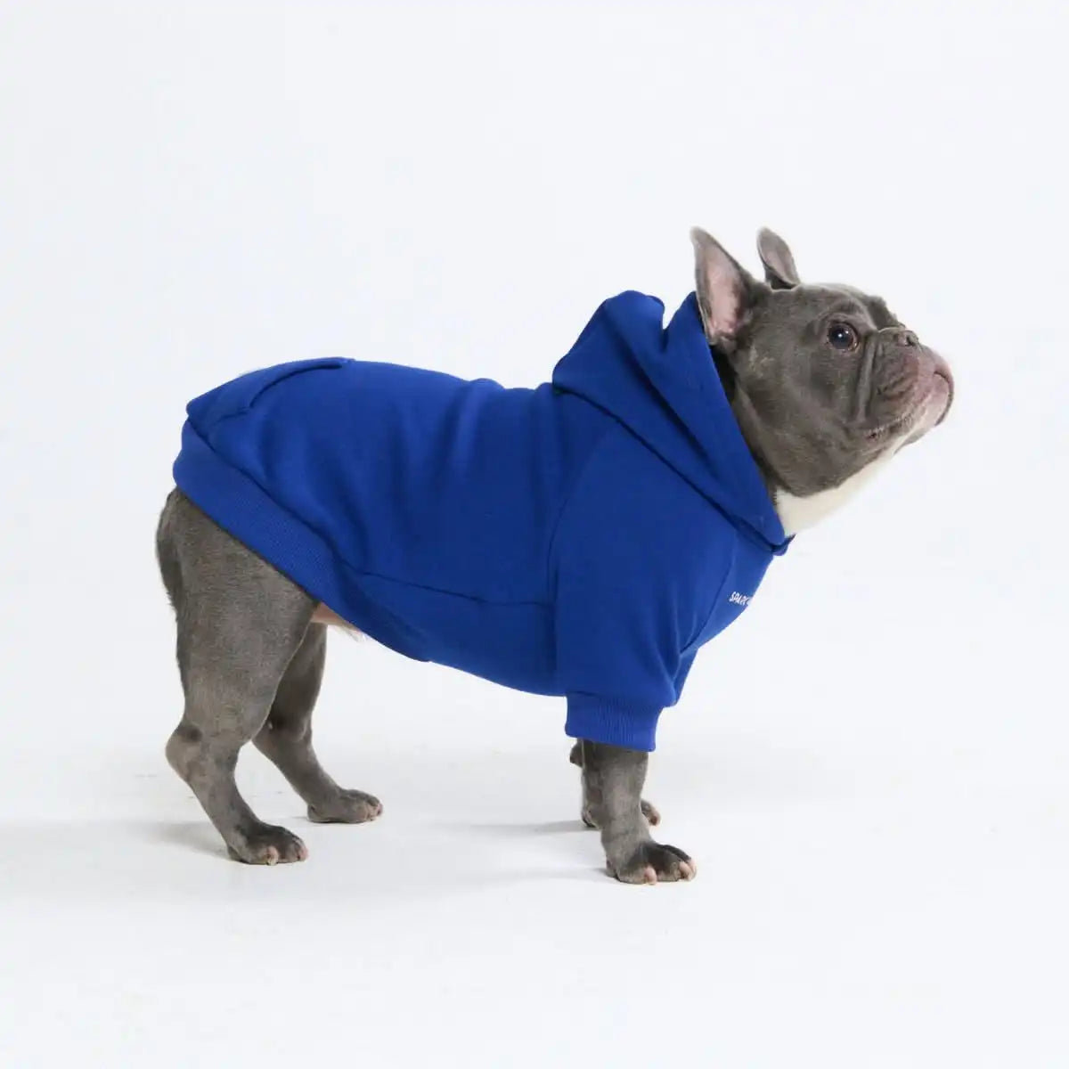 sparkpawsmaut.com