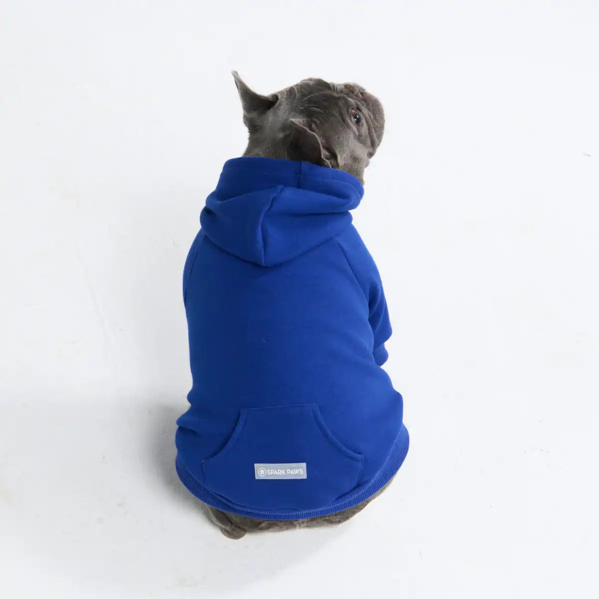 sparkpawsmaut.com