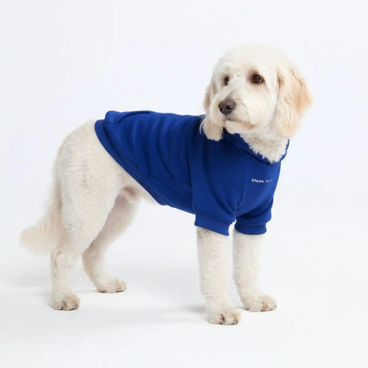 sparkpawsmaut.com