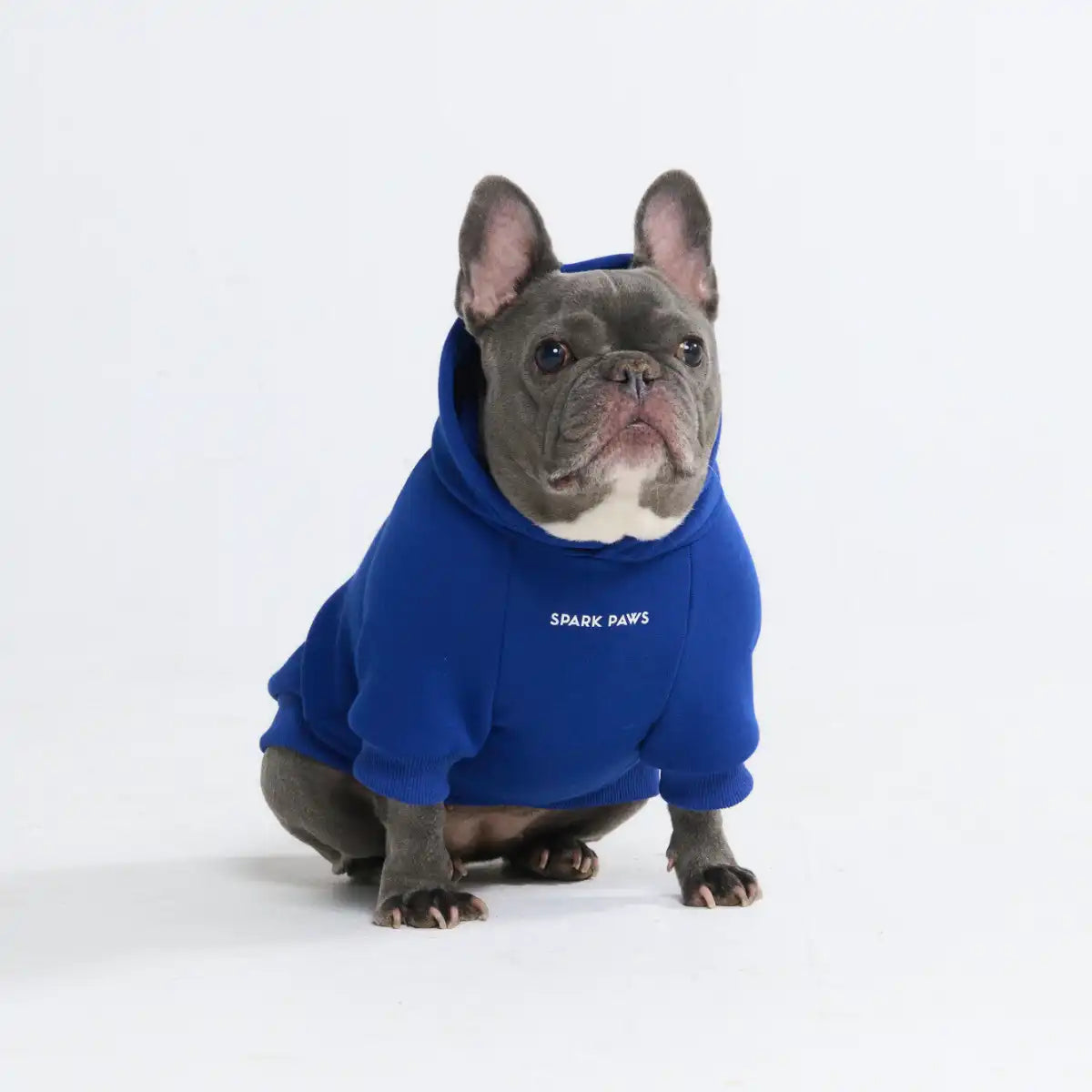 sparkpawsmaut.com