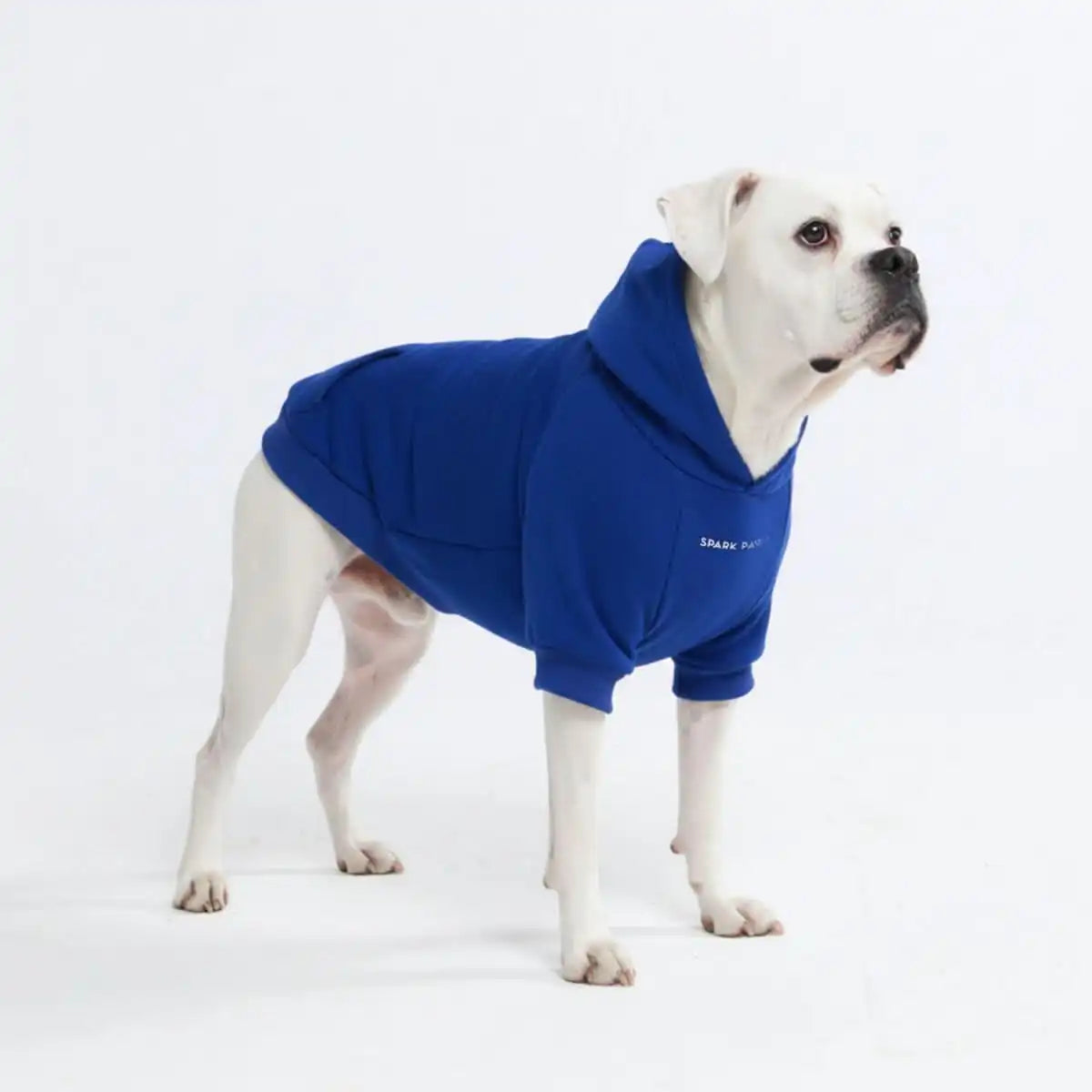 sparkpawsmaut.com