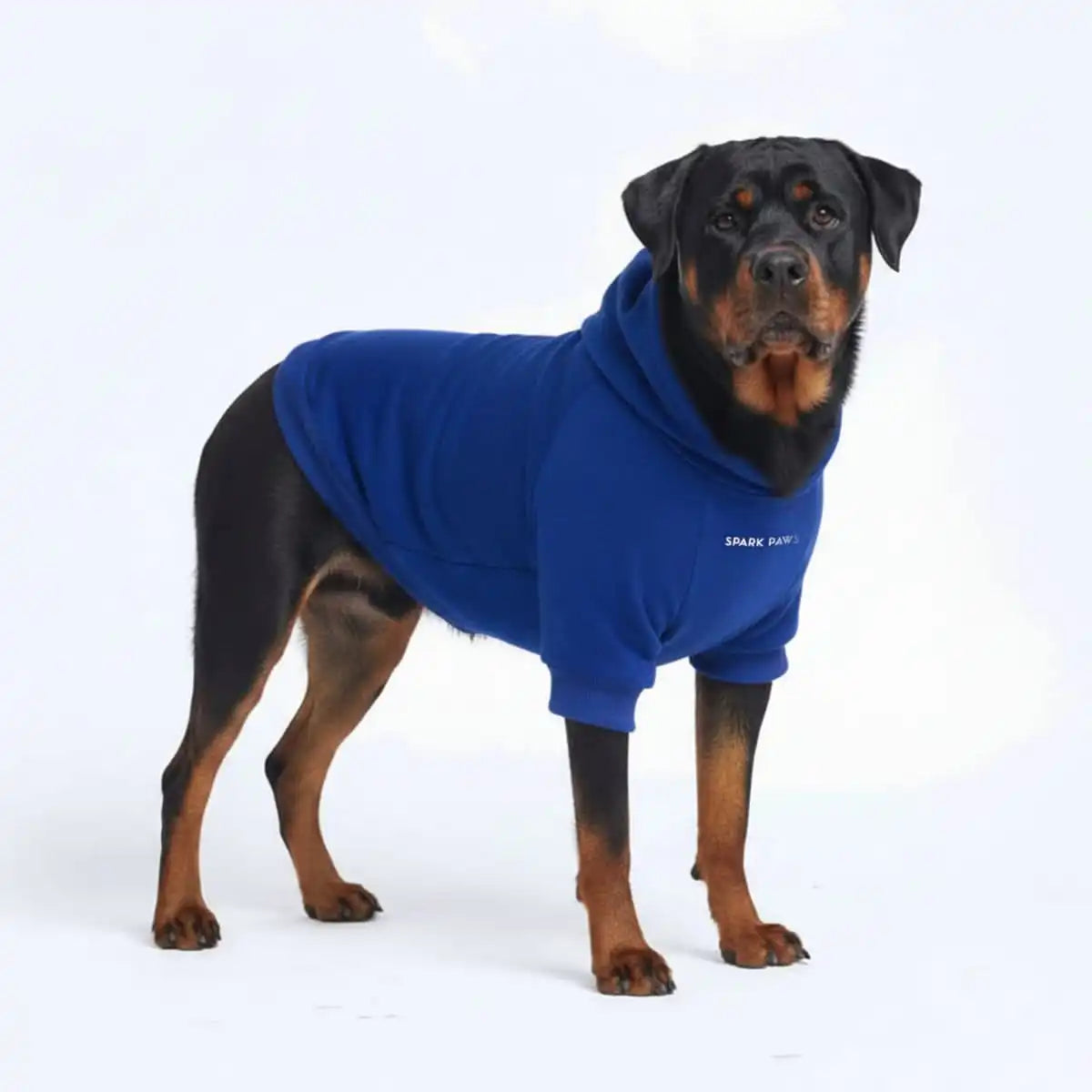 sparkpawsmaut.com