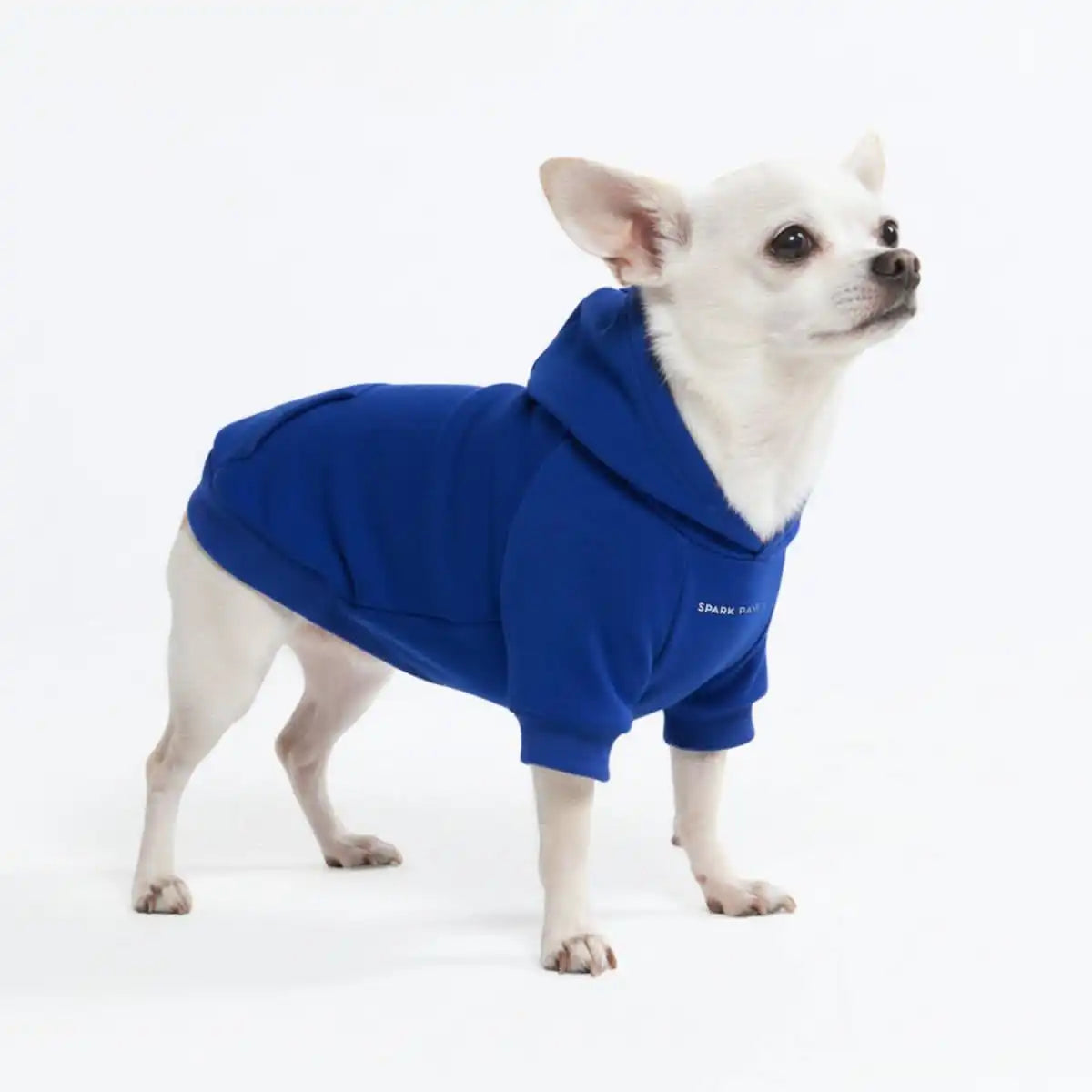 sparkpawsmaut.com