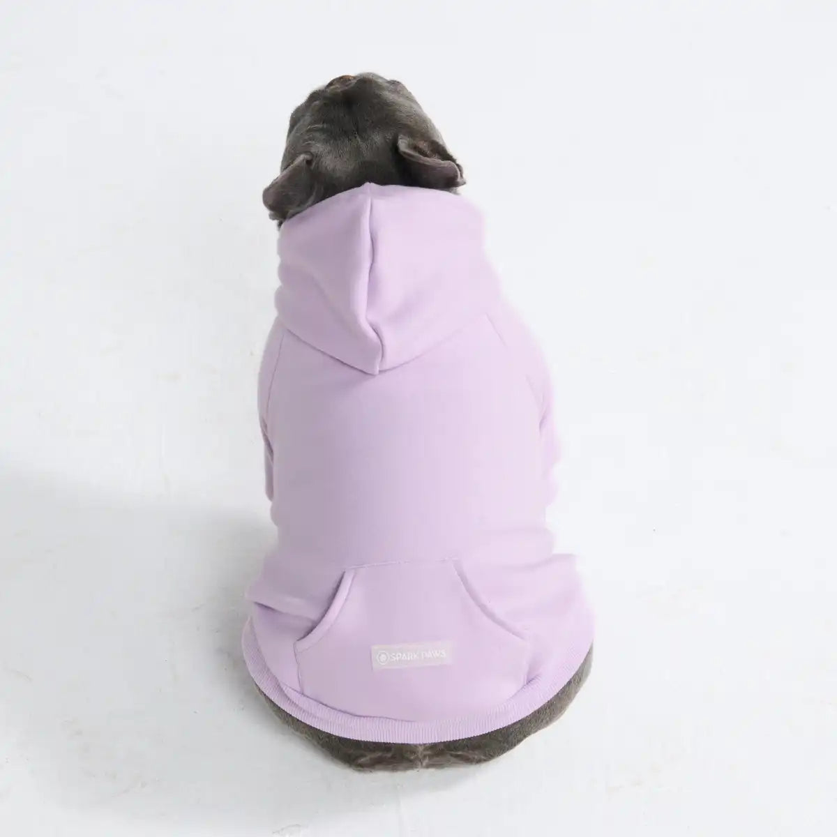 sparkpawsmaut.com