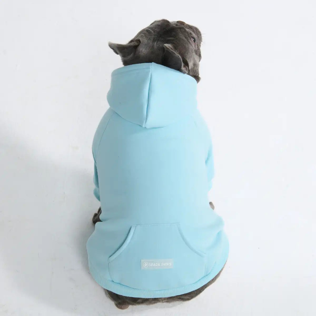 sparkpawsmaut.com