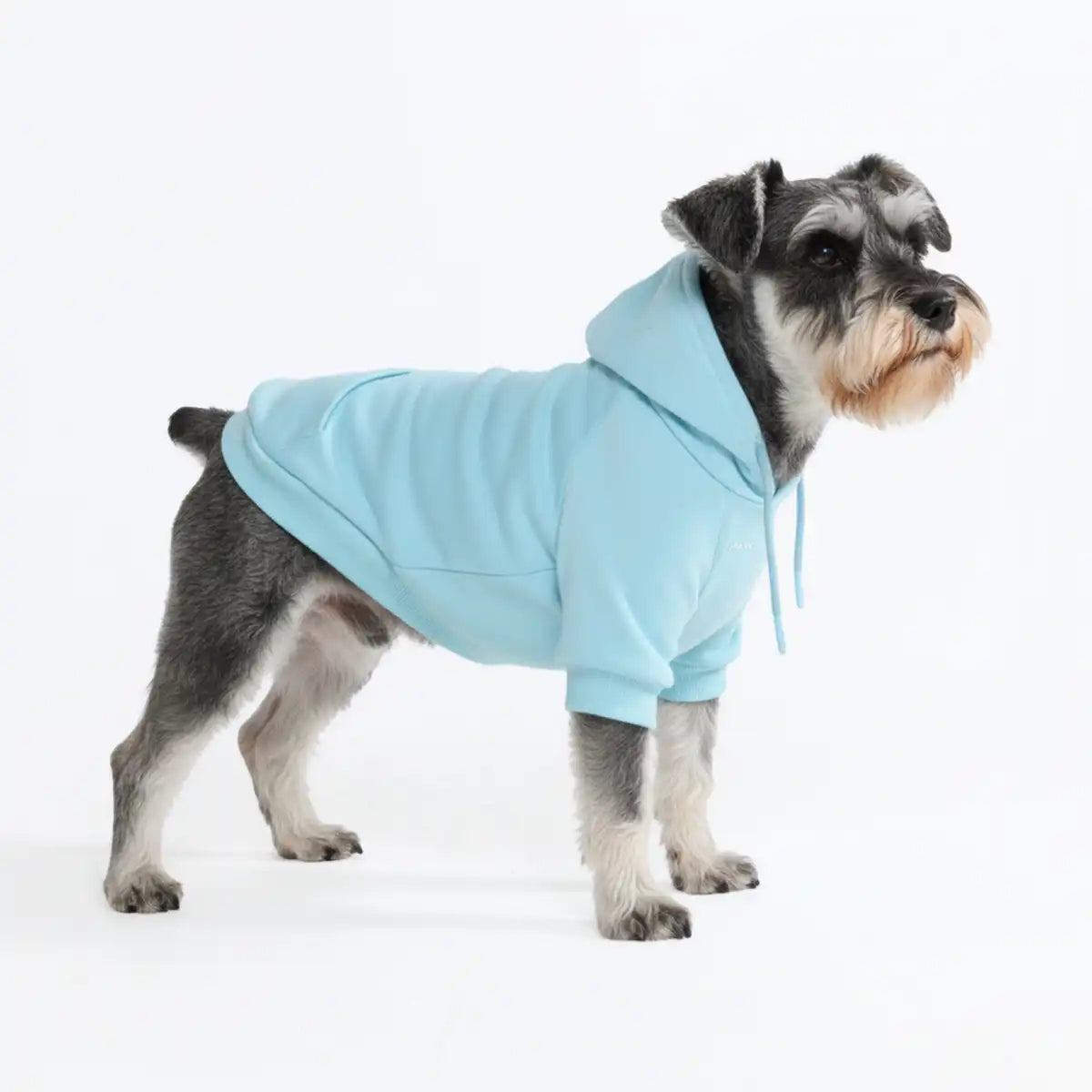 sparkpawsmaut.com