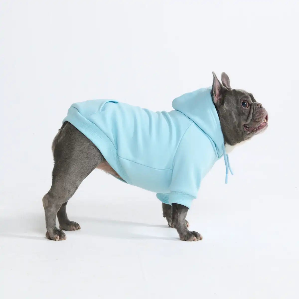 sparkpawsmaut.com