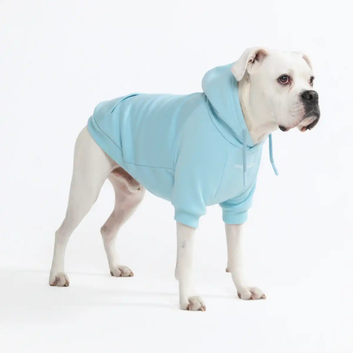 sparkpawsmaut.com