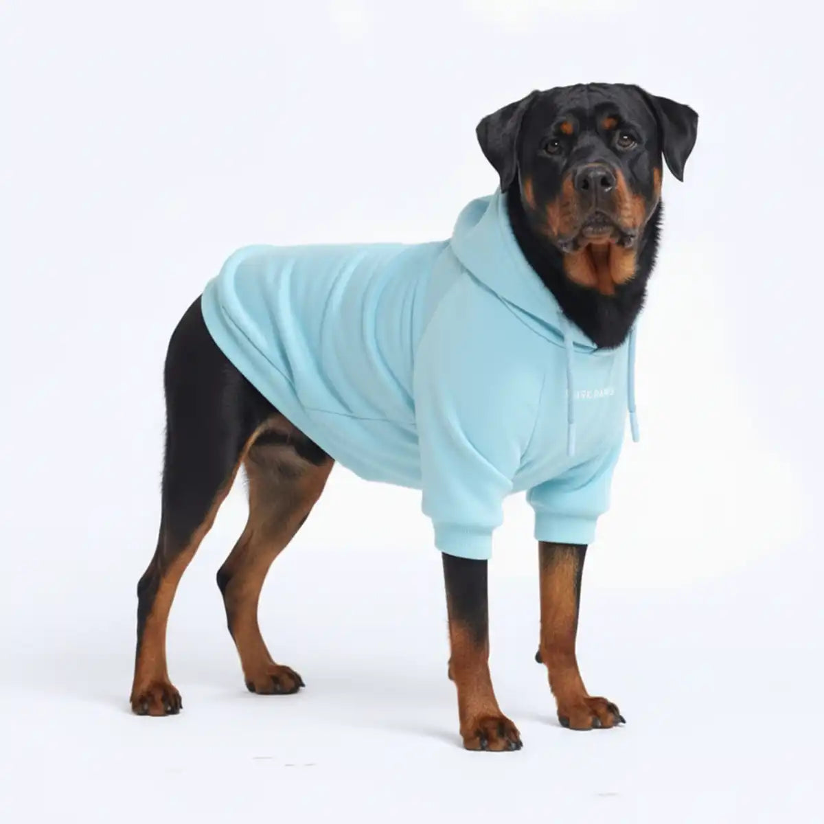 sparkpawsmaut.com