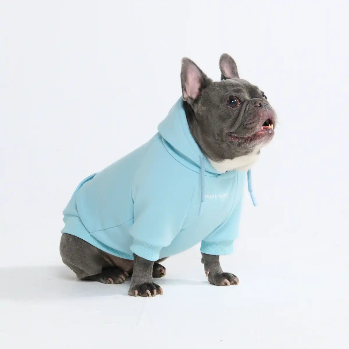 sparkpawsmaut.com