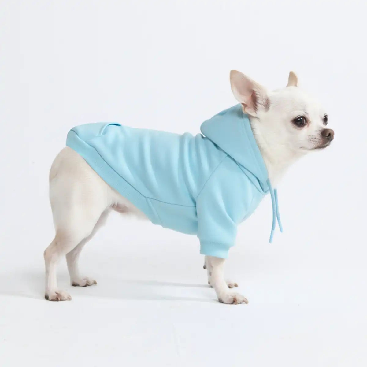 sparkpawsmaut.com