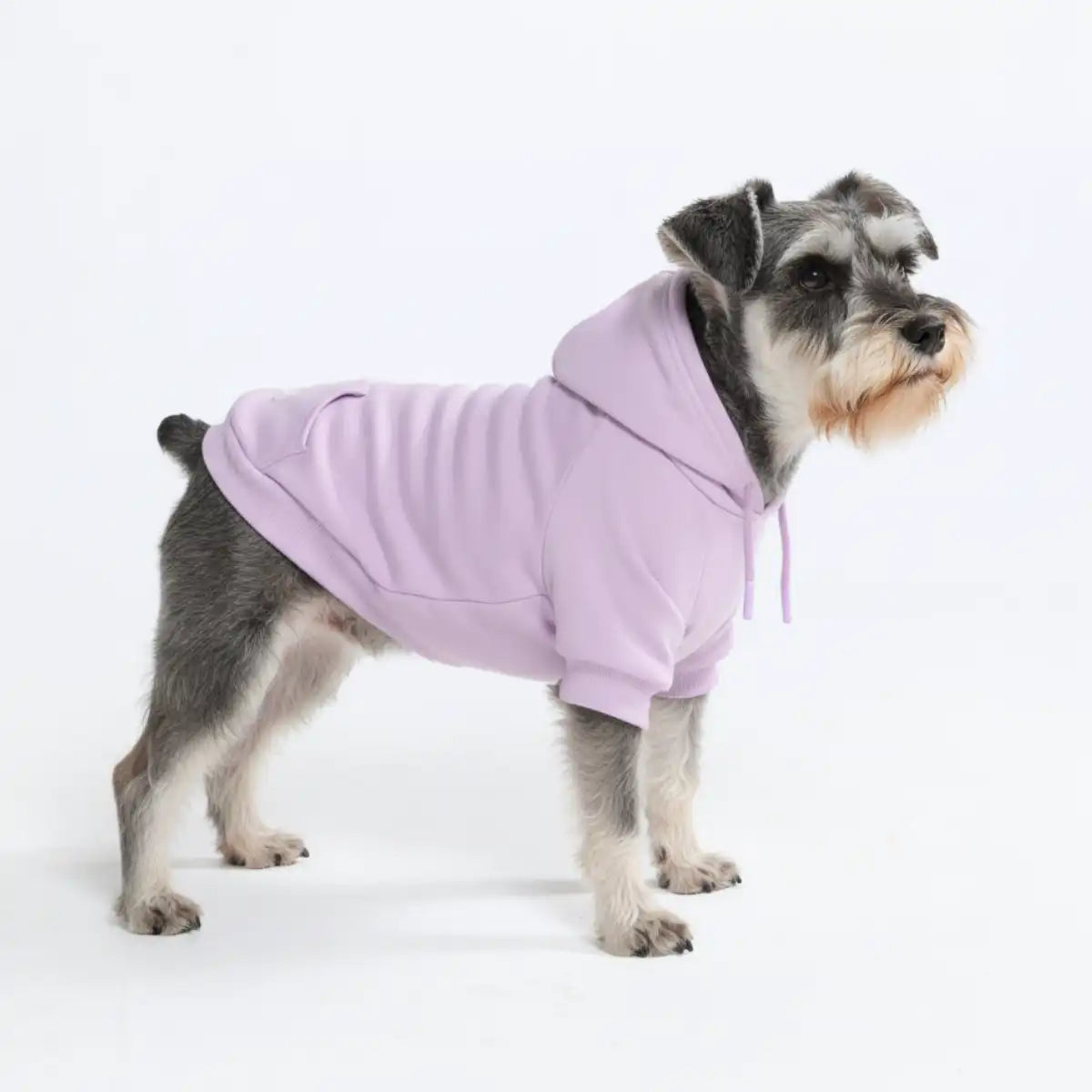 sparkpawsmaut.com