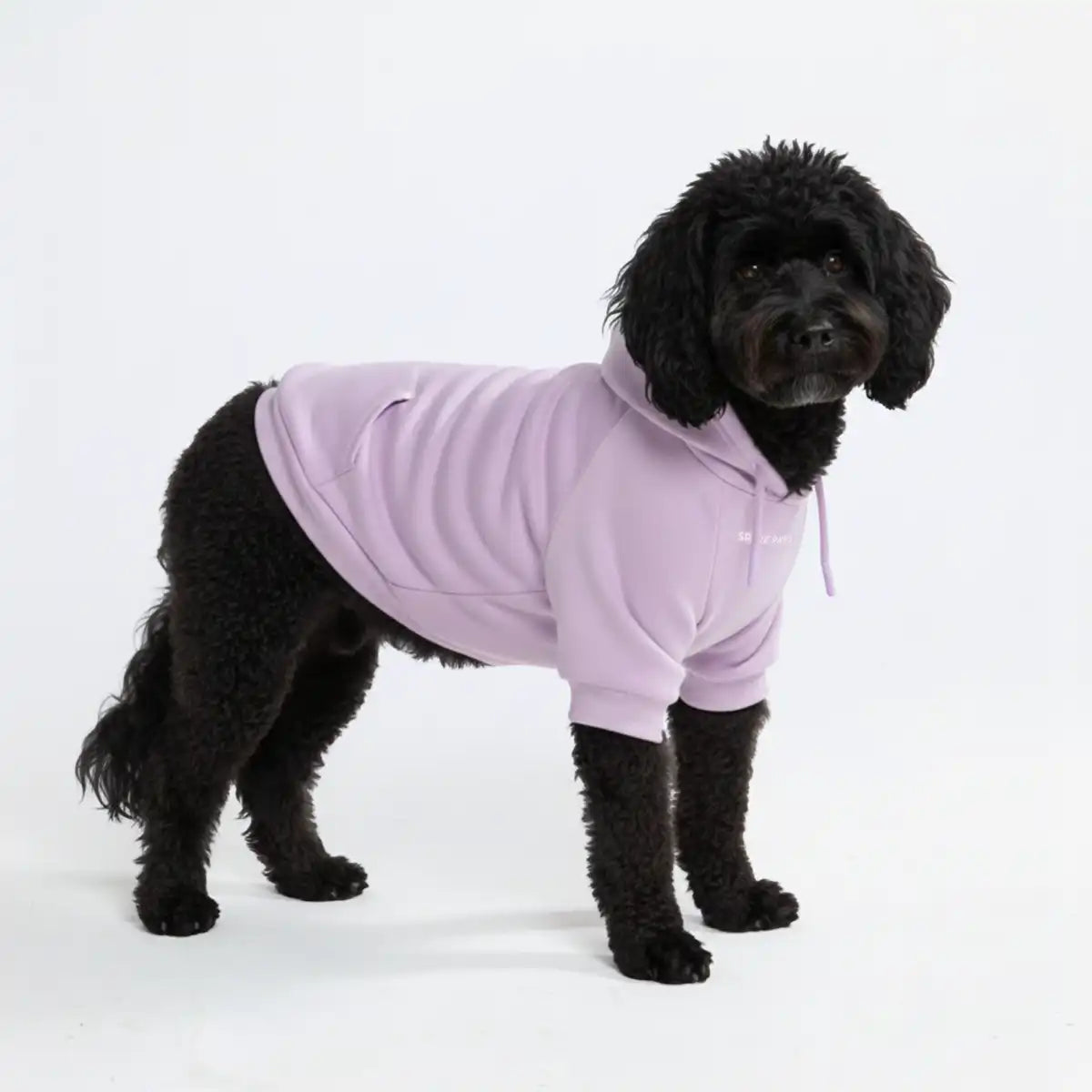 sparkpawsmaut.com