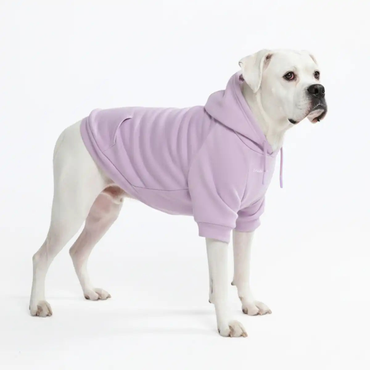 sparkpawsmaut.com