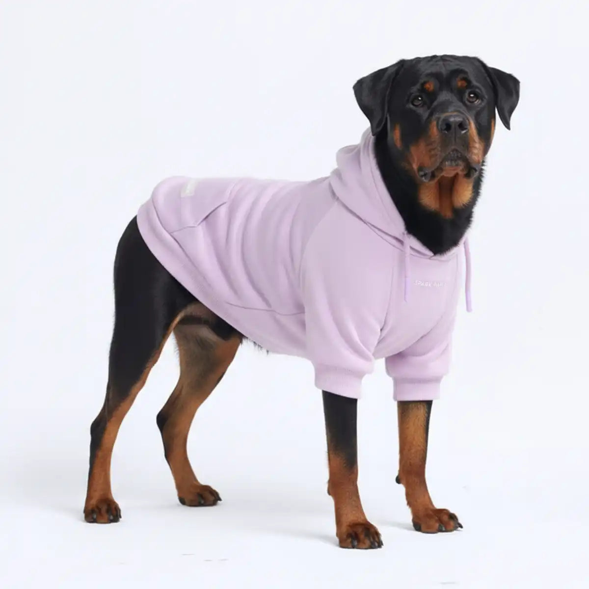 sparkpawsmaut.com
