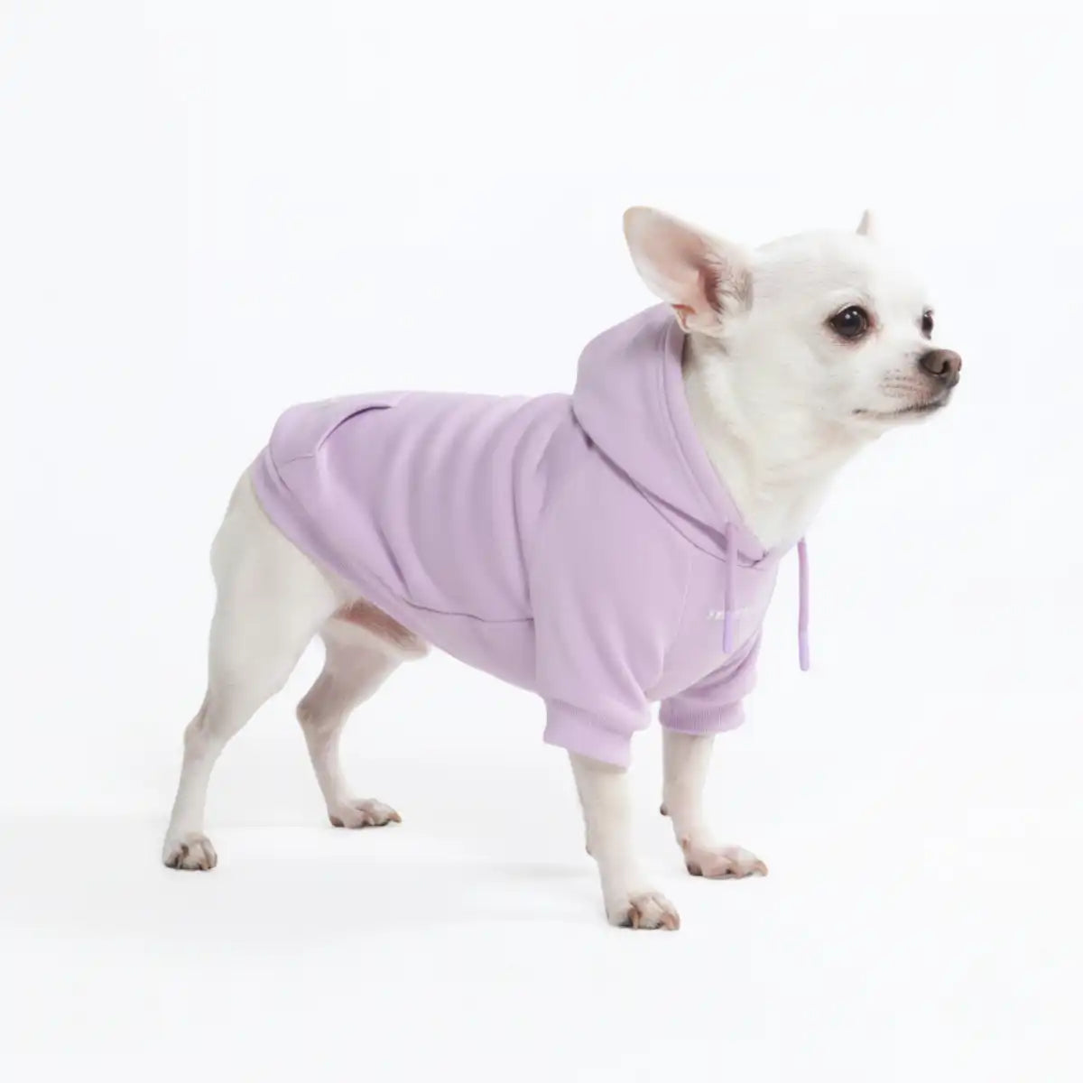 sparkpawsmaut.com