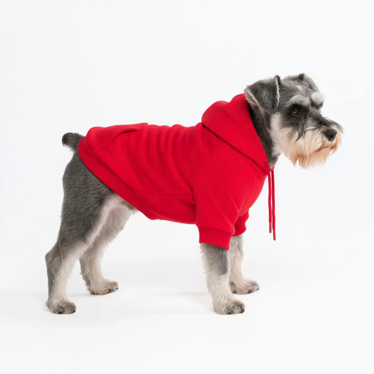 sparkpawsmaut.com