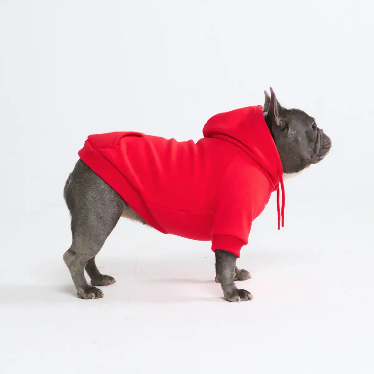 sparkpawsmaut.com