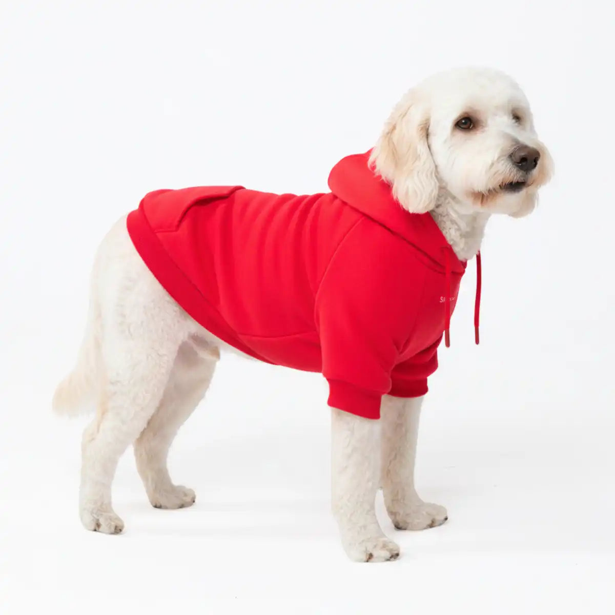 sparkpawsmaut.com