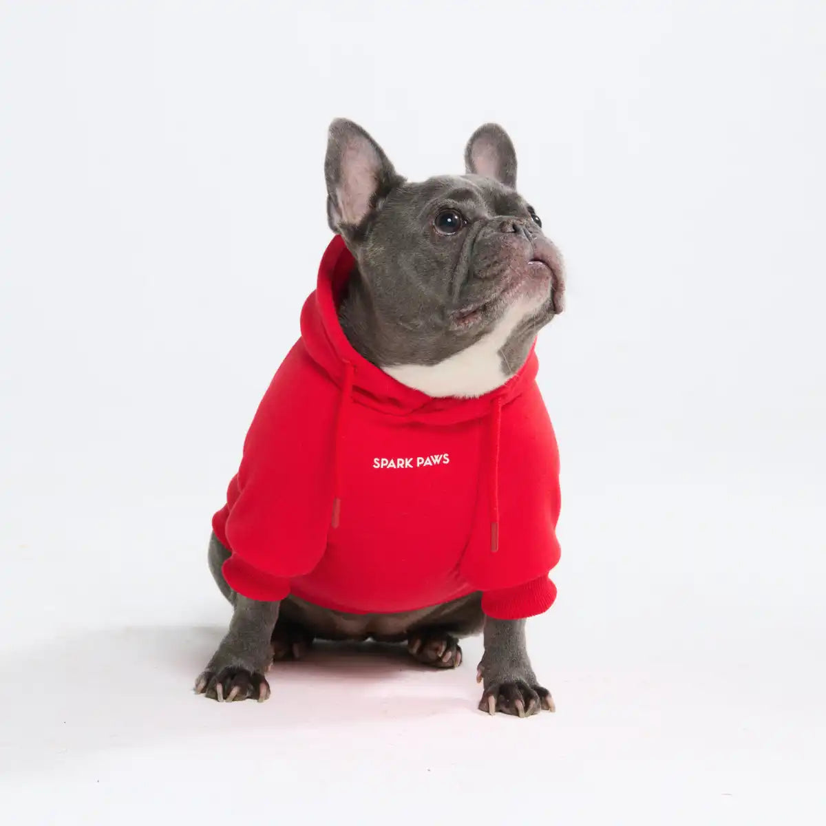 sparkpawsmaut.com