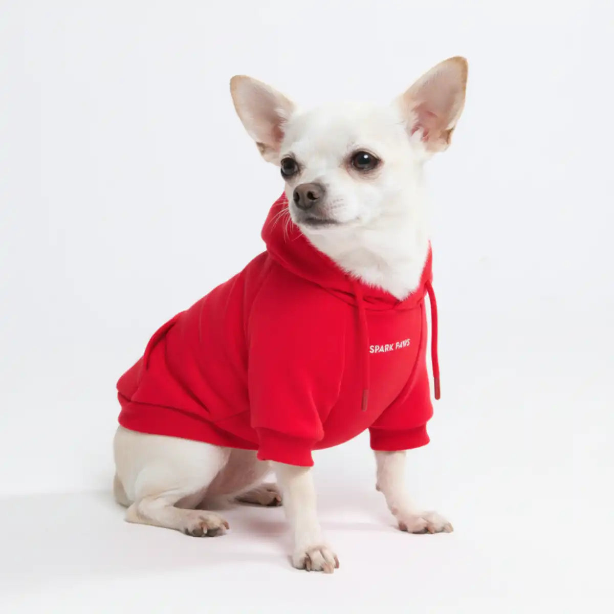 sparkpawsmaut.com