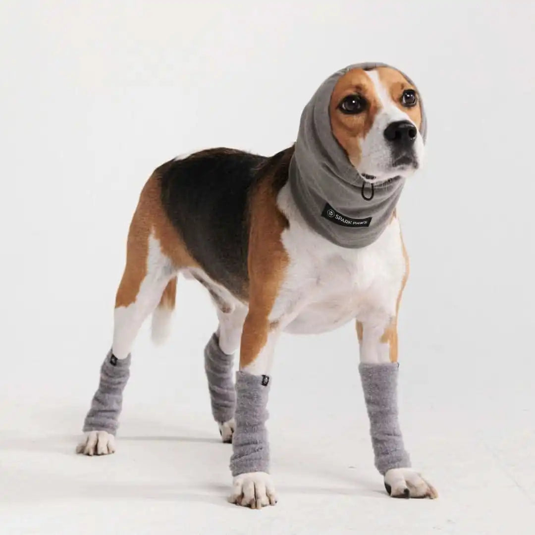 sparkpawsmaut.com