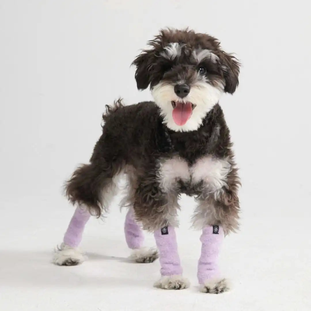 sparkpawsmaut.com