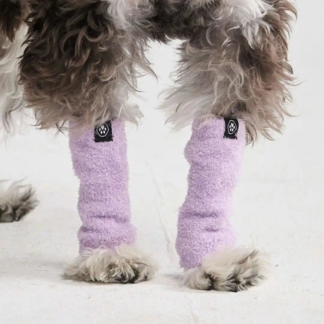sparkpawsmaut.com